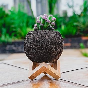 【石鉢・寄せ植え鉢・岩ヒバ岩松鉢】オブジェ・庭石・置物・ガーデニング 石鉢・寄せ植え鉢・岩ヒバ岩松鉢】オブジェ・庭石・置物・ガーデニング